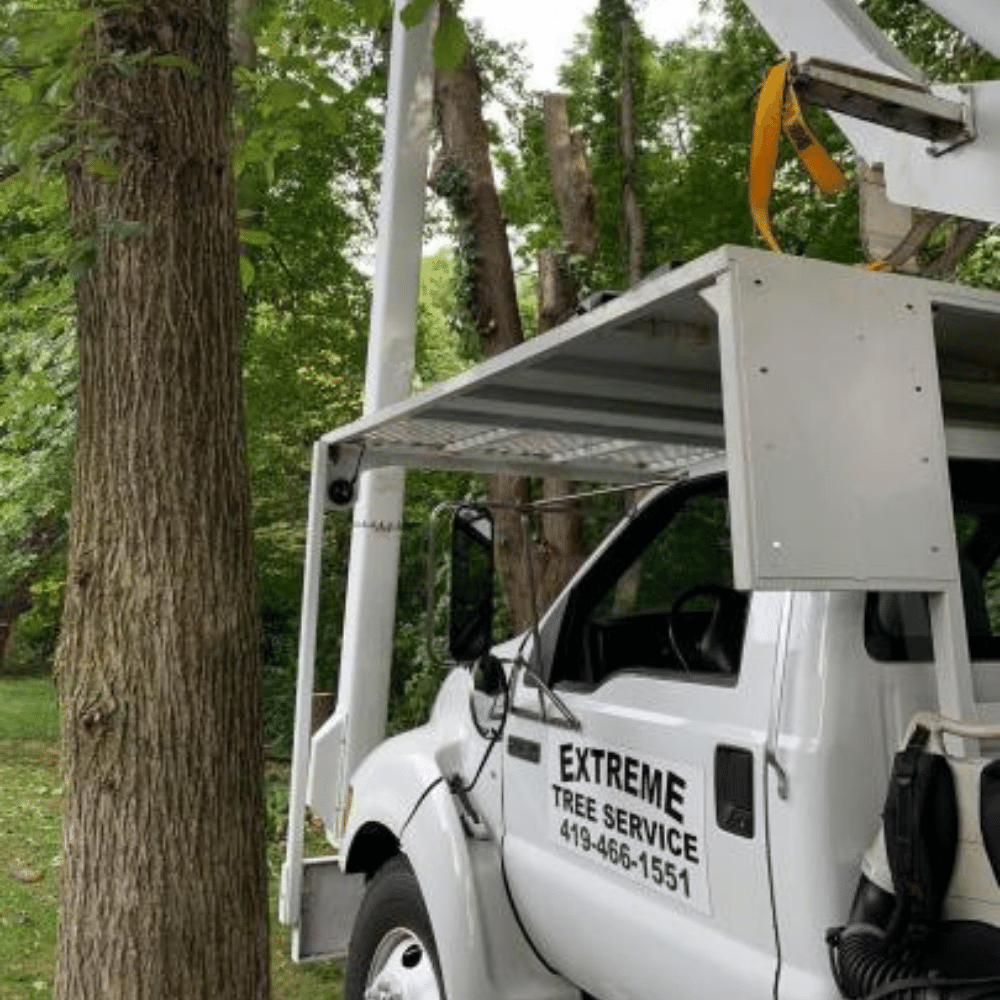 Extreme Tree Service Top Rated Toledo Tree Removal Company